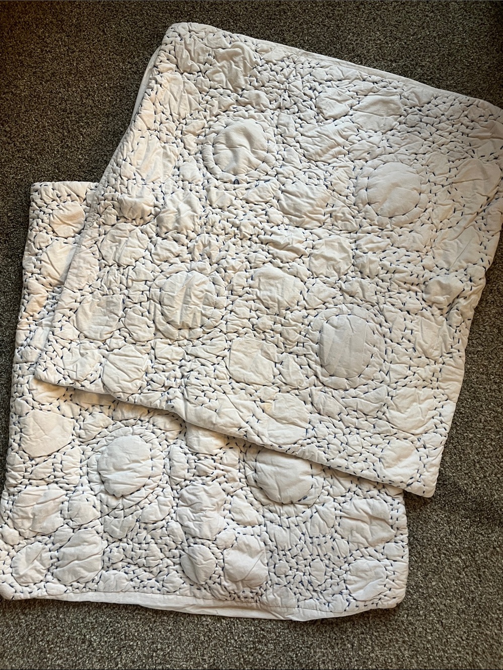 Anthropologie embroidered cotton Euro shams (2)